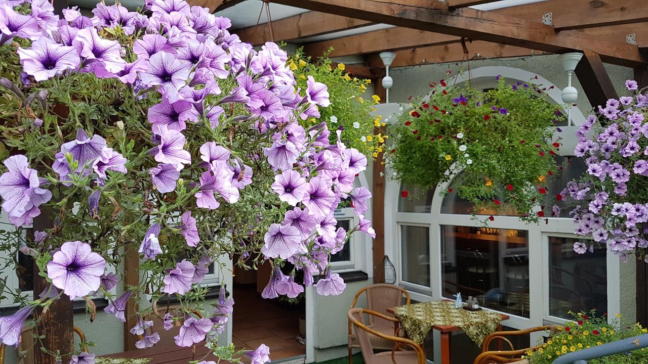 Centrum25 Olsztyn  Dış mekan fotoğraf